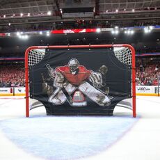 Ворота, сетки и имитаторы - Интернет-магазин Б/У хоккейной экипировки T-HOCKEY