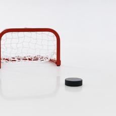 Ворота хоккейные MINI №1 - Интернет-магазин Б/У хоккейной экипировки T-HOCKEY